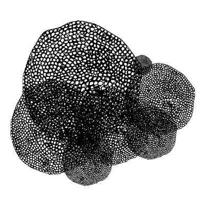 Tropical Virus